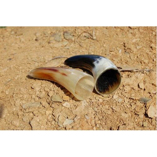 DRINKING HORN - Small Schnapps/Shot